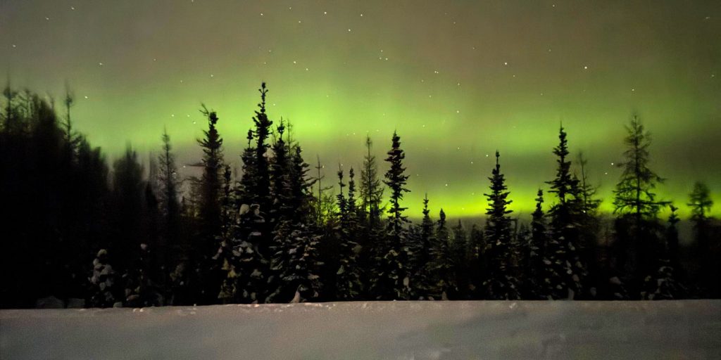 Northern Lights, photo taken during our tour in December 2024
